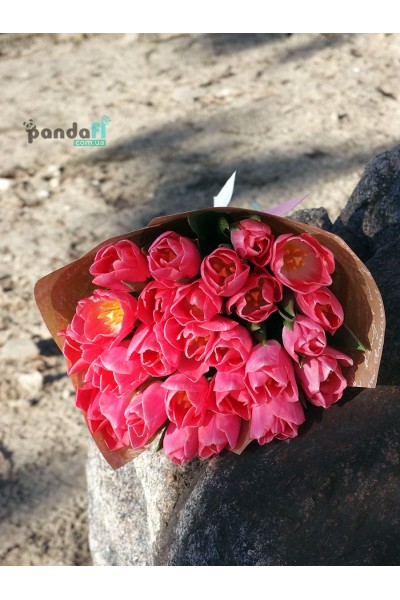 25 pink tulips