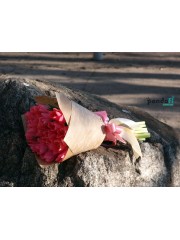 25 pink tulips