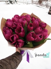 25 purple tulips