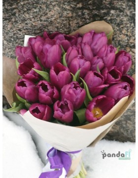 25 purple tulips