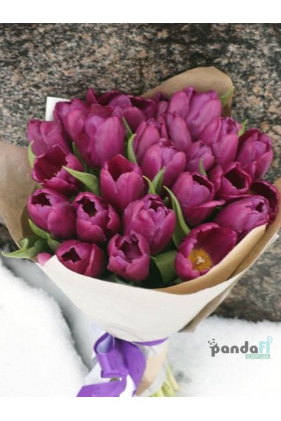 25 purple tulips