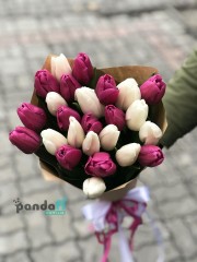 25 tulips, a mix of white and purple