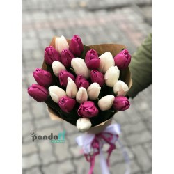 25 тюльпанов микс белых и фиолетовых