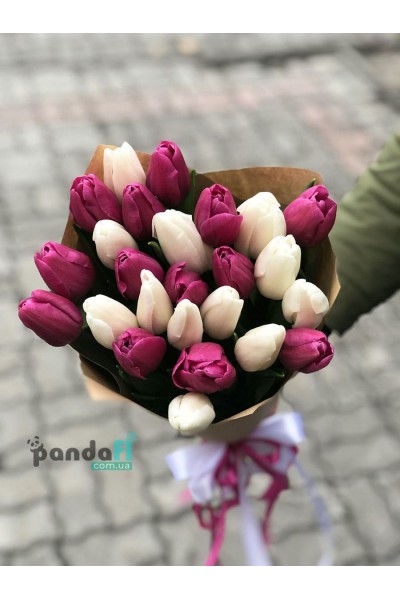 25 tulips, a mix of white and purple