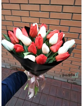 25 tulips, a mix of white and red