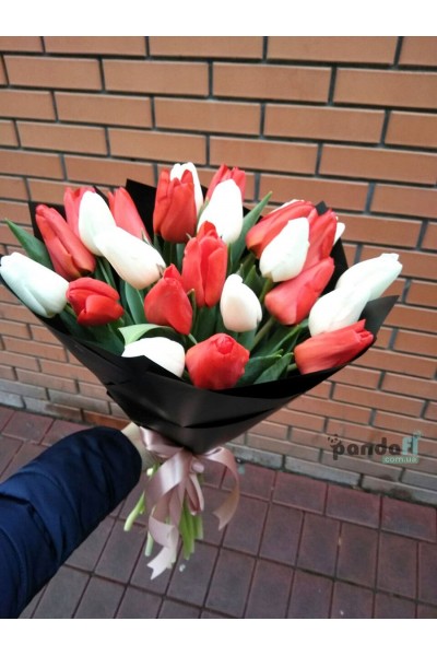 25 tulips, a mix of white and red
