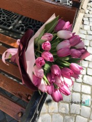 25 tulips mix #2