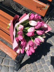 25 tulips mix #2