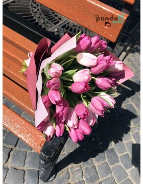 25 tulips mix #2