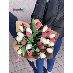 25 тюльпанов микс 