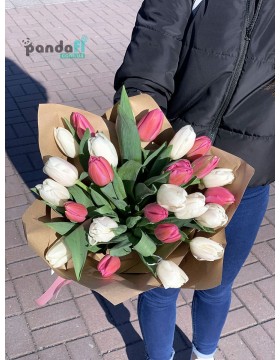 25 mixed tulips