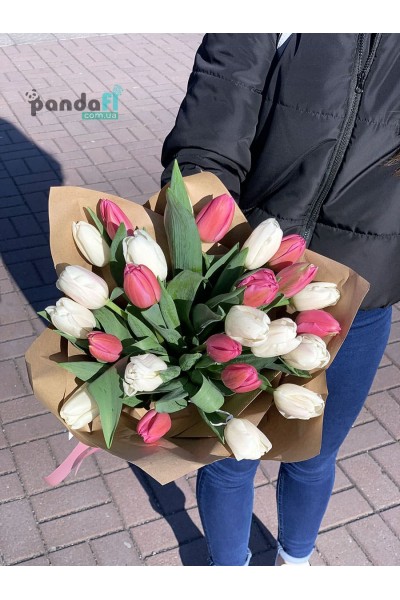 25 mixed tulips