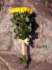 25 жовтих троянд Іліос 80 см