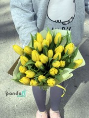 25 yellow tulips