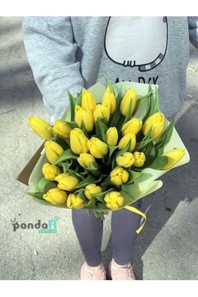 25 yellow tulips