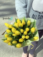 25 yellow tulips