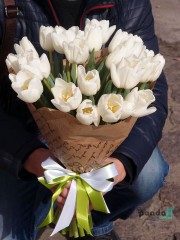 27 white tulips