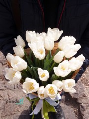 27 white tulips
