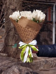 27 white tulips