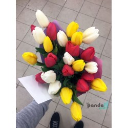 27 тюльпанов микс