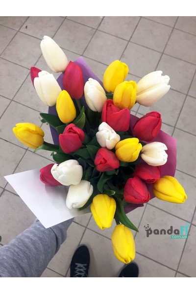 27 tulips mix