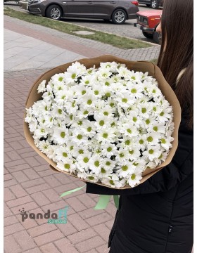 29 white chrysanthemums