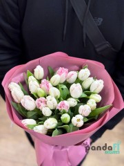 29 тюльпанів мікс