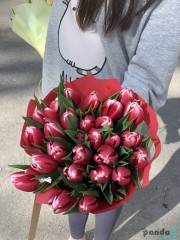 29 tulips