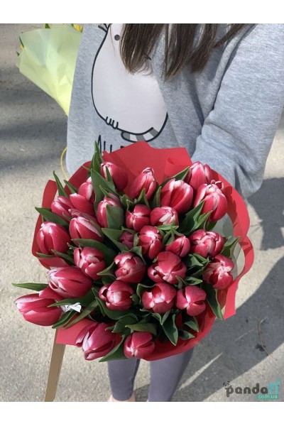 29 tulips
