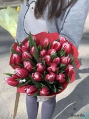 29 tulips