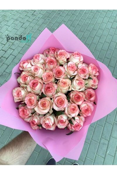 31 біло-рожева троянда 60 см
