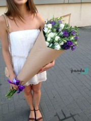 31 eustoma
