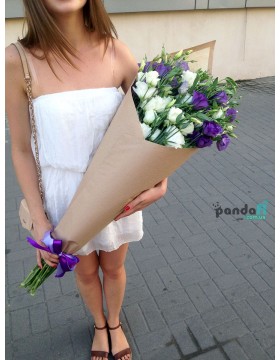 31 eustoma