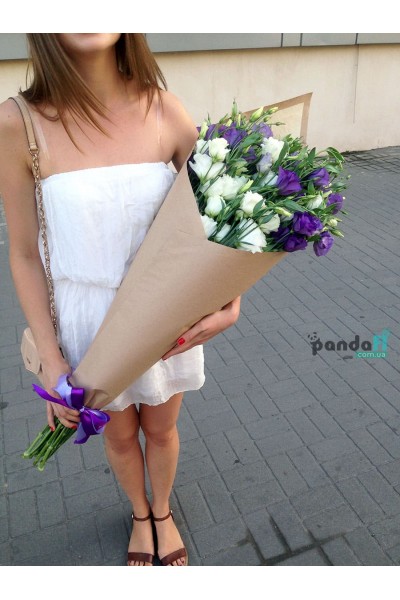 31 eustoma