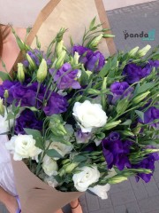 31 eustoma