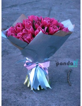 31 purple tulips