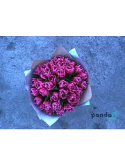 31 фиолетовый тюльпан