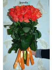 31 коралова троянда 70 см