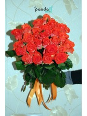 31 коралова троянда 70 см