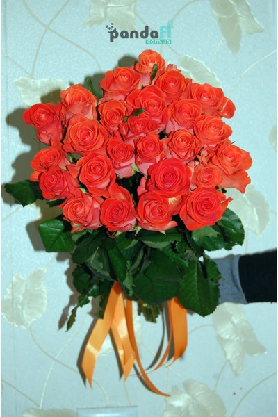 31 коралова троянда 70 см
