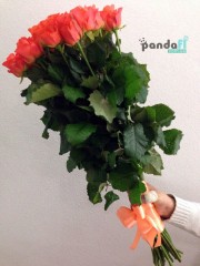 31 коралова троянда 80 см