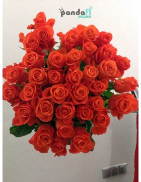 31 coral rose 80 cm