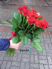 31 червона троянда Ель Торо 50 см