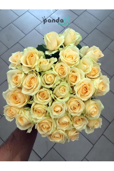31 кремова троянда 60 см