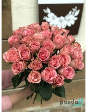31 imported roses 60 cm