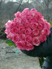 31 рожева троянда Канді 80 см