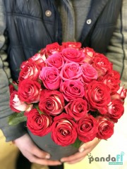 31 рожева троянда в коробці