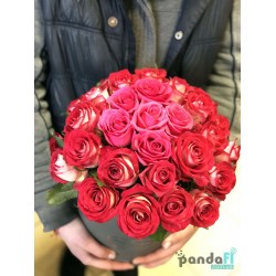 31 рожева троянда в коробці