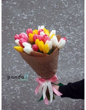 31 tulip mix