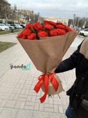 33 червоні троянди Ель Торо 60 см
